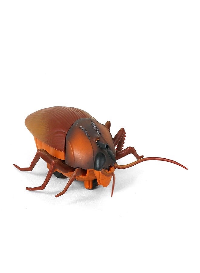 Hamleys Lifelike Moving Cheeky Cockroach, 6Y+, Brown | Safe & Gift-Friendly - Image 1